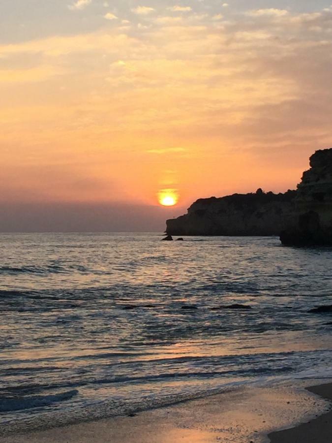 T3 Holiday Cottage Near The Beach | B111 珀彻斯 外观 照片